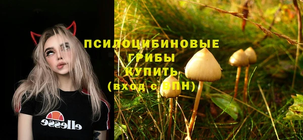 apvp Абдулино