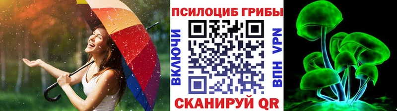 Псилоцибиновые грибы Magic Shrooms  кракен tor  Красный Сулин  где можно купить  