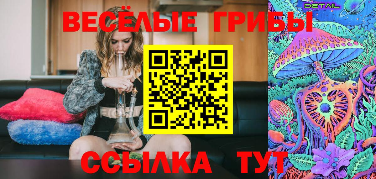 Красный Сулин  Галлюциногенные грибы Cubensis  Псилоцибиновые грибы прущие грибы  Вход с VPN 