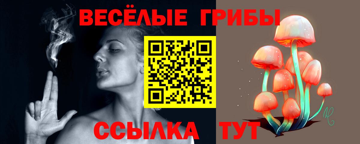 Псилоцибиновые грибы Cubensis  Красный Сулин 